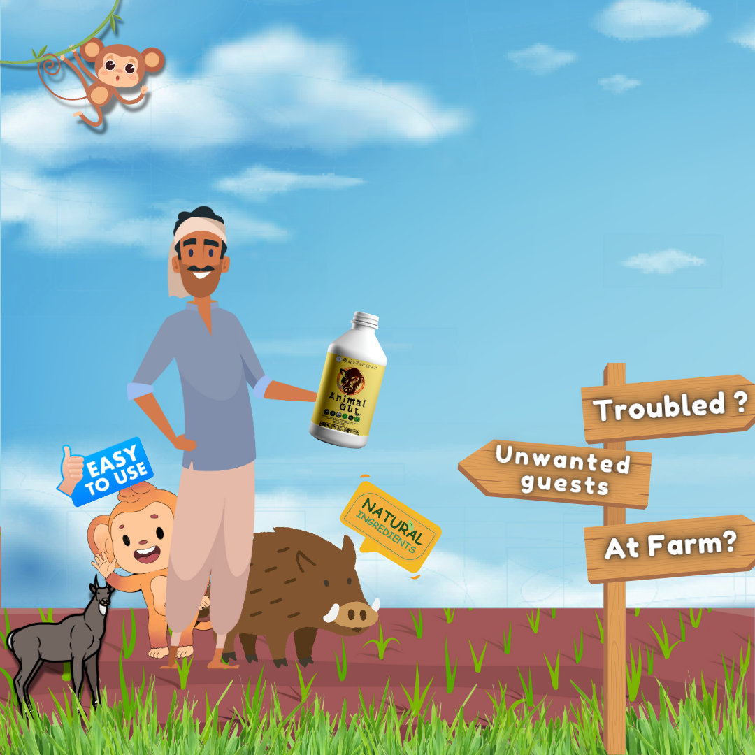 Animal Out Post feature image