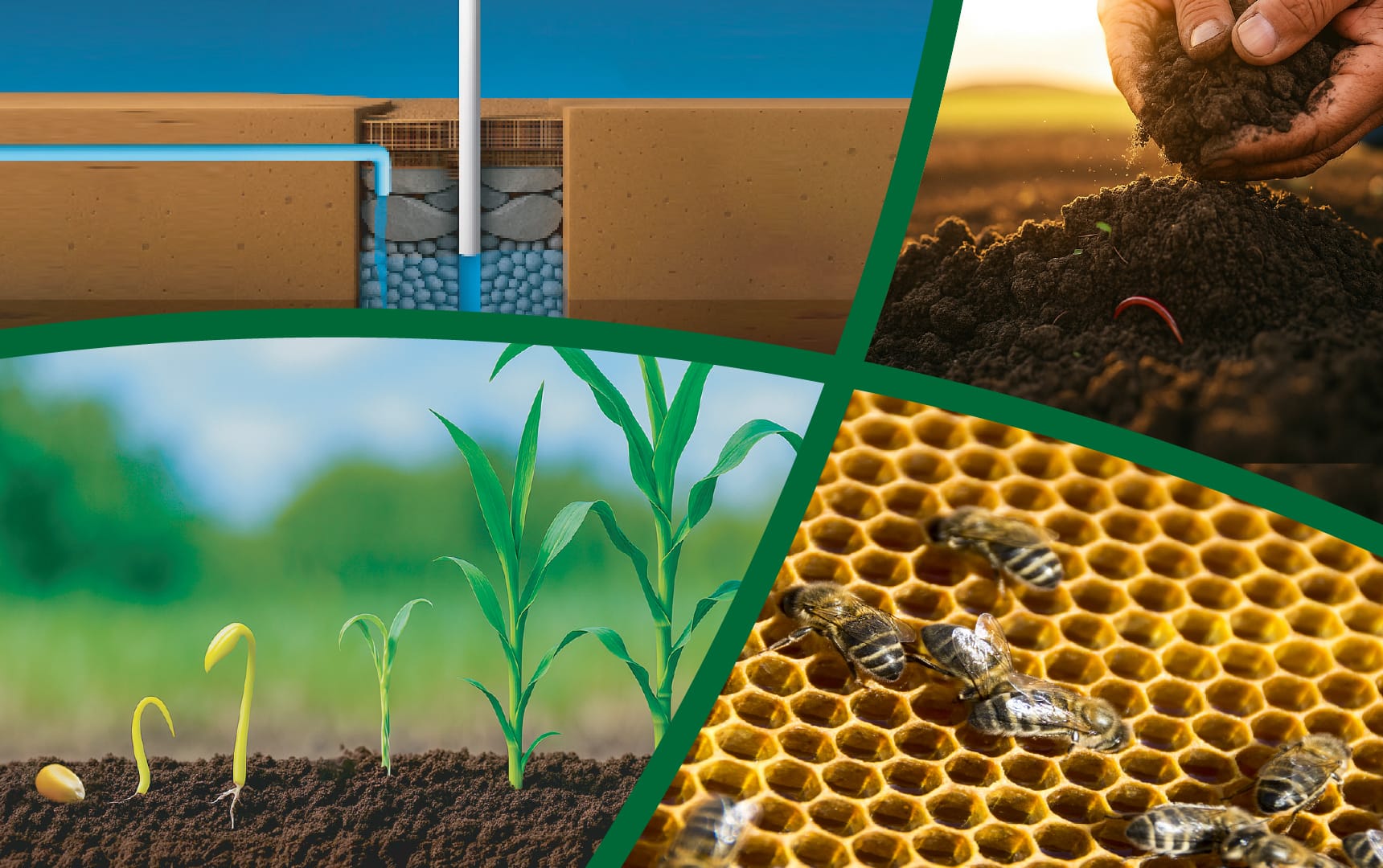 🌾 जागर – शाश्वत शेतीचा संकल्प Post image