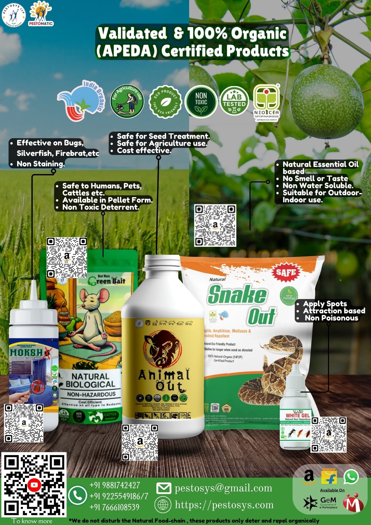 PESTOSYS LLP Post feature image